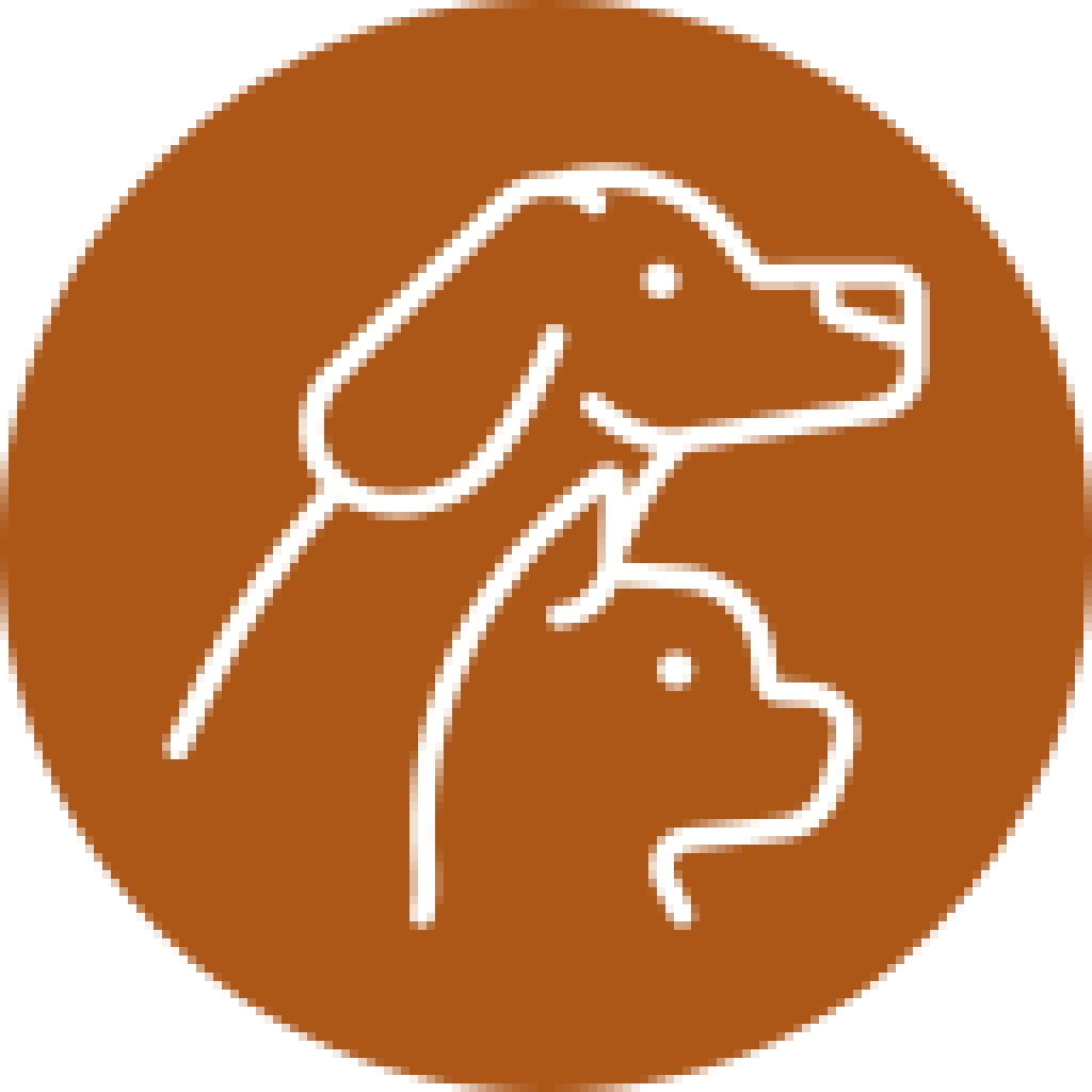 Pet