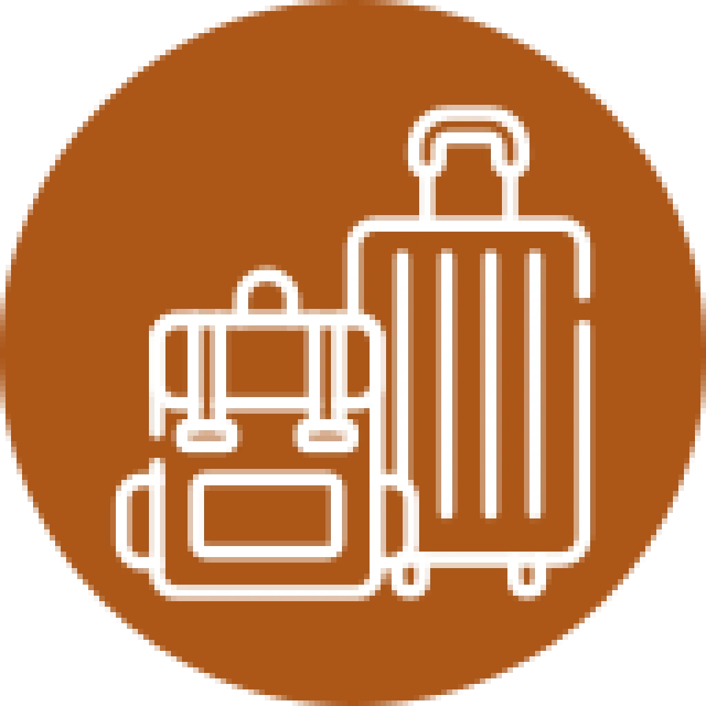 Travel luggage